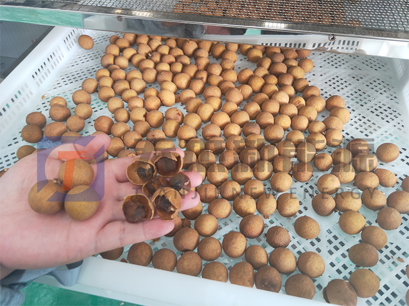 天杰新能源?；葜蔟堁酆娓蓹C(jī)開機(jī)大吉